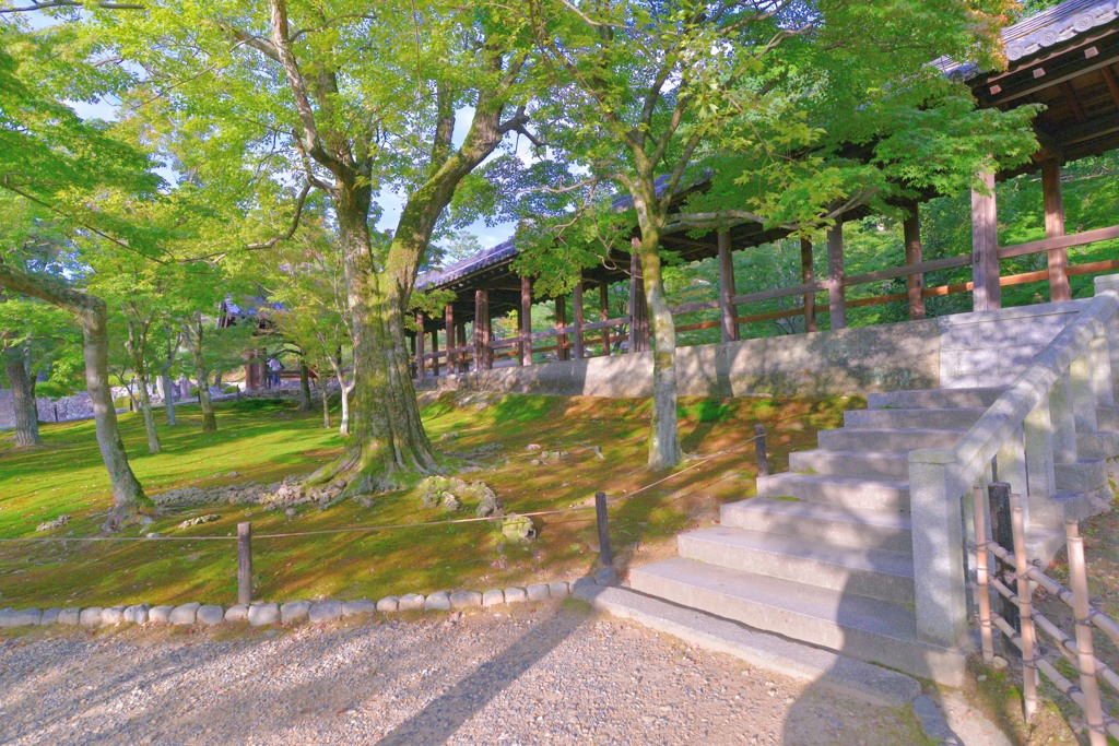 東福寺③
