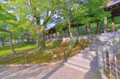 東福寺③