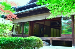 京都旅行　天授庵のお庭①