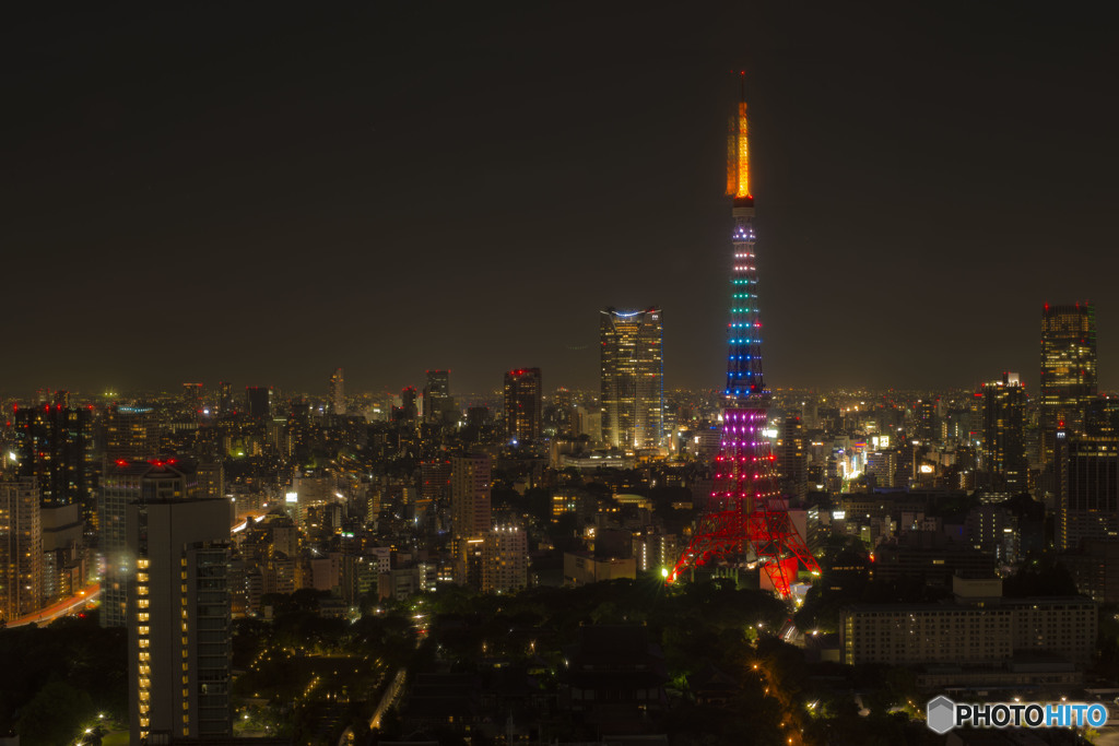東京タワー②
