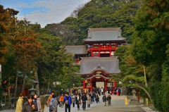 初詣　鶴岡八幡宮④