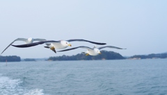 松島にて