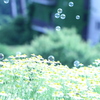 夢現