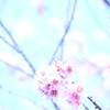 晴天