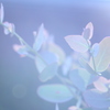眩しくて