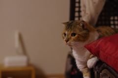 IMGP0941