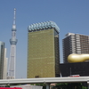 IMGP0514