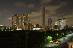 IMGP0428