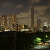 IMGP0428