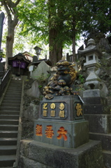 IMGP0169