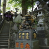 IMGP0169