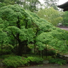 IMGP0557