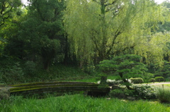 IMGP1194