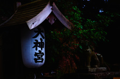 DP3M0696