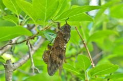 P7120308