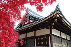 2014仁和寺②