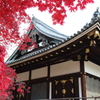 2014仁和寺②