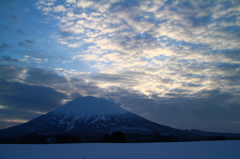 朝陽の羊蹄