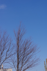 青空届