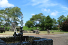 誰か飲んで