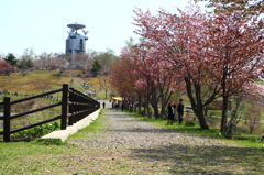 美唄東明公園