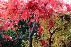 京都2014