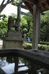 手水舎
