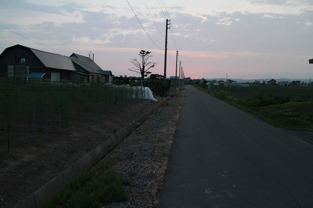 淡い夕焼け