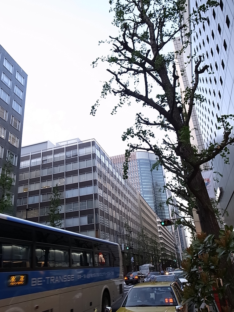 銀座界隈２