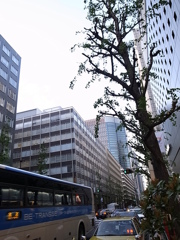 銀座界隈２