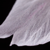 SAKURA Plumage