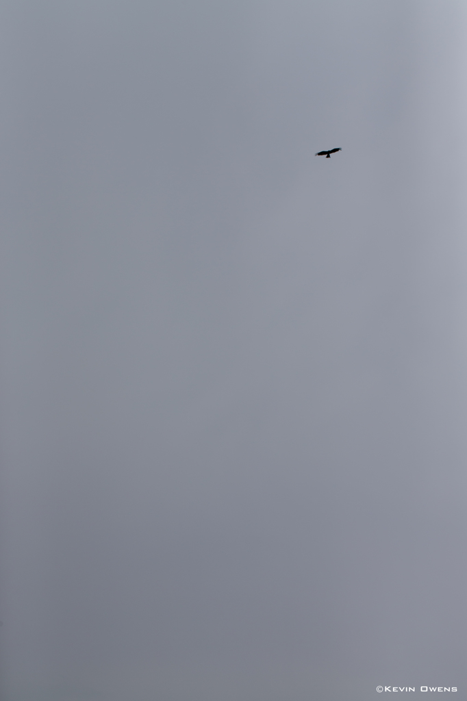 Conquer the sky
