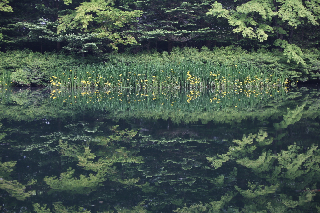 暗色の水鏡