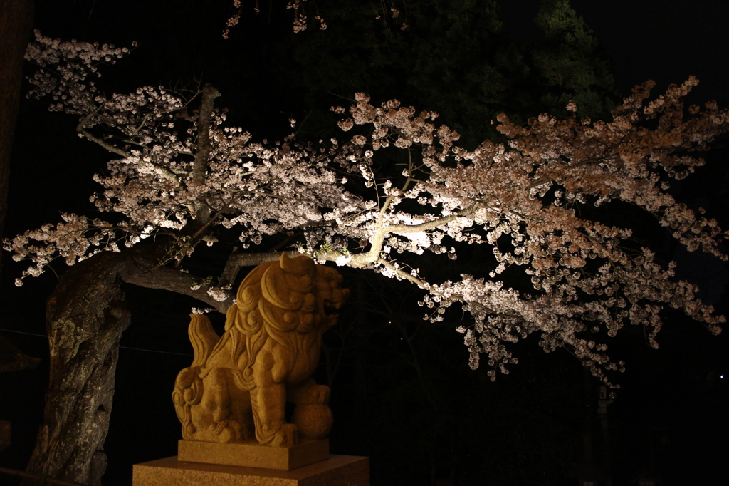 塩釜神社