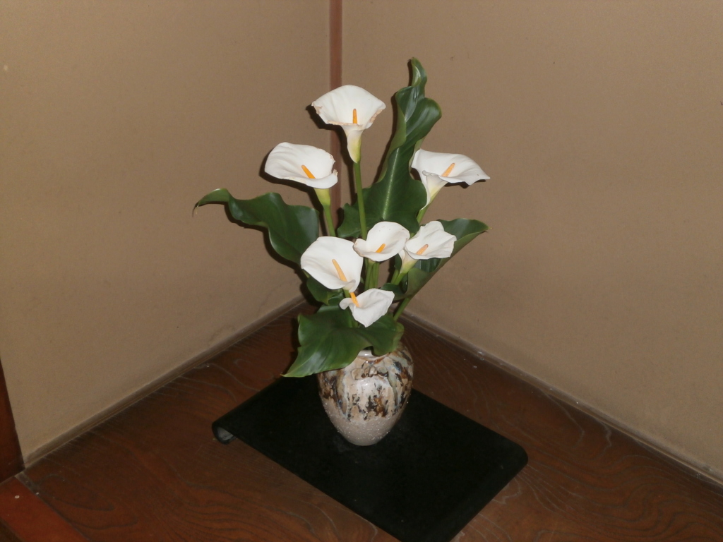 P6020004