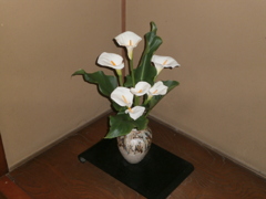 P6020004