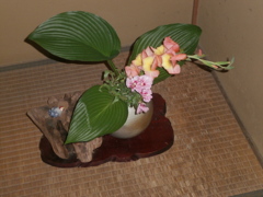 P6280005