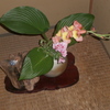 P6280005