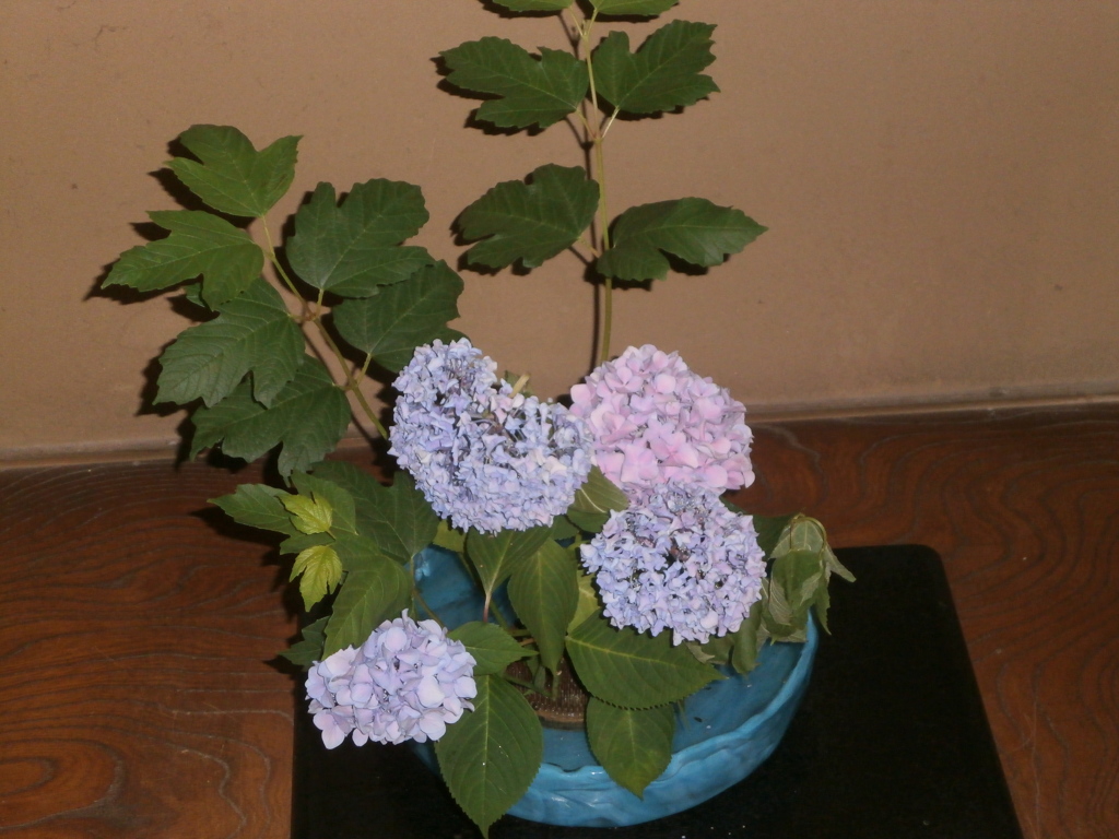P6290003
