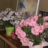 P6020007