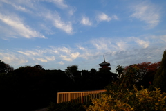 池上本門寺の空
