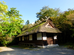DSCF0293