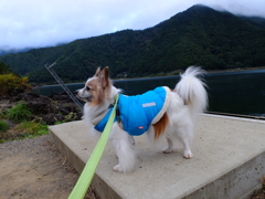DSCF0246