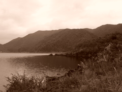 DSCF0181
