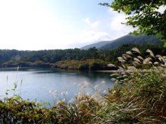 DSCF0276