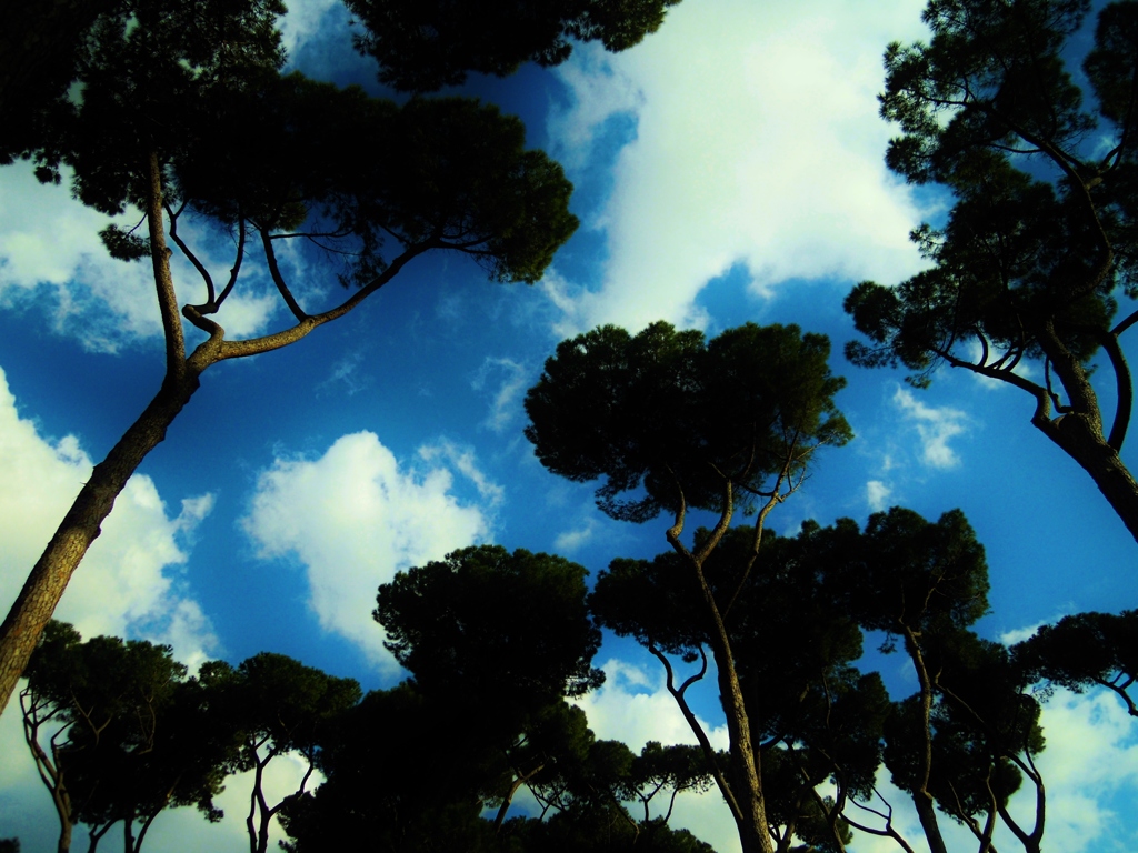 青空