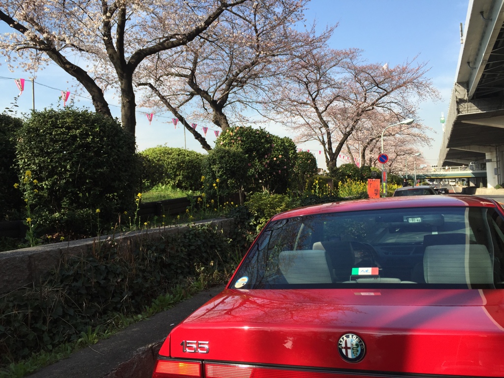 隅田川周辺とAlfa