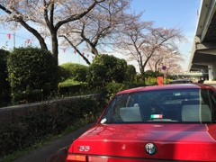 隅田川周辺とAlfa