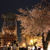 桜花　夜山車