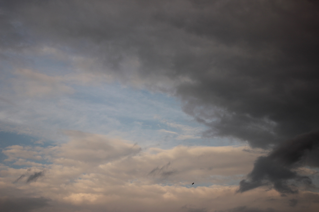 flies between the clouds